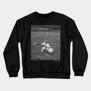 SHEEP Crewneck Sweatshirt